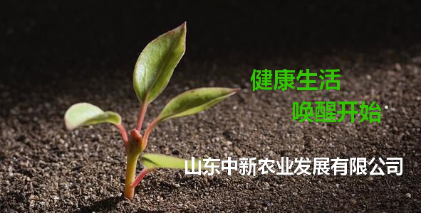 微生物肥---發展現代農業的首選肥料！