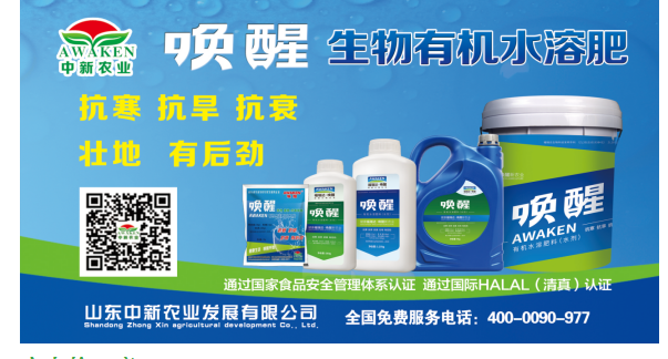 喚醒有機水溶肥為您的小麥豐收保駕護航