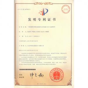 發明專利