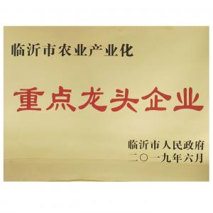龍頭企業
